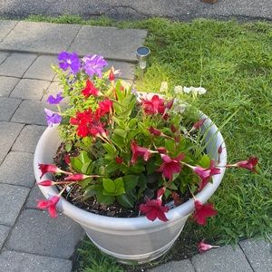 Meet your Posher, Kristin